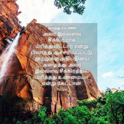 Picture 04 - மாற்கு 15:44 TAMIRV - அவர் இவ்வளவு - Bible Verse Picture