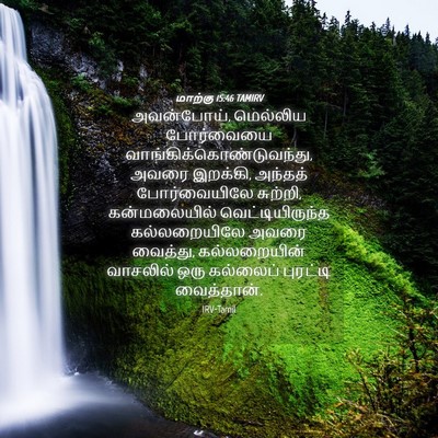 Picture 04 - மாற்கு 15:46 TAMIRV - அவன்போய், மெல்லிய - Bible Verse Picture