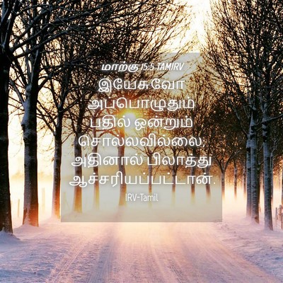 Picture 04 - மாற்கு 15:5 TAMIRV - இயேசுவோ - Bible Verse Picture