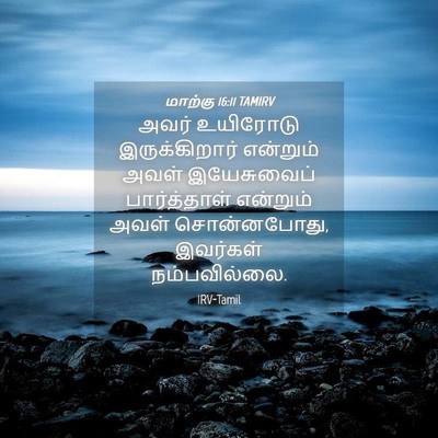Picture 04 - மாற்கு 16:11 TAMIRV - அவர் உயிரோடு - Bible Verse Picture