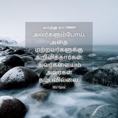 Picture 04 - மாற்கு 16:13 TAMIRV - அவர்களும்போய், - Bible Verse Picture