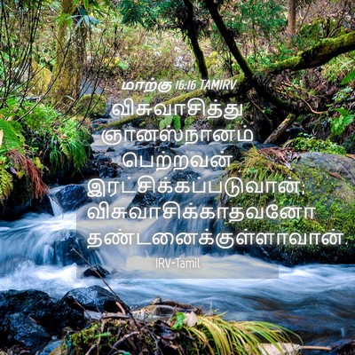 Picture 04 - மாற்கு 16:16 TAMIRV - விசுவாசித்து - Bible Verse Picture