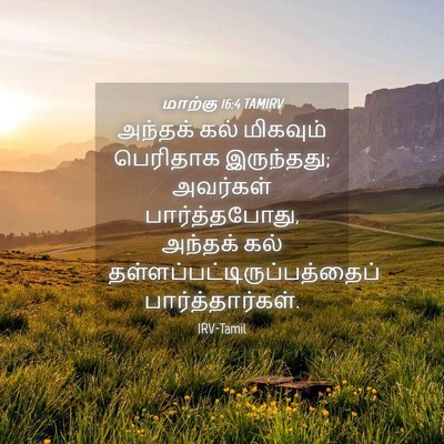 Picture 04 - மாற்கு 16:4 TAMIRV - அந்தக் கல் - Bible Verse Picture