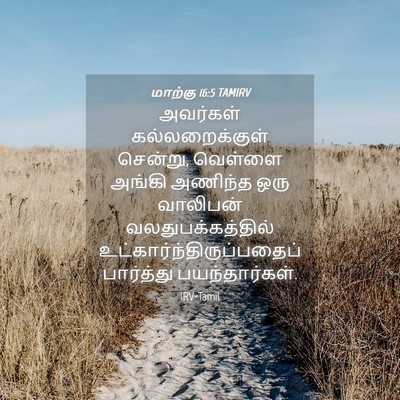 Picture 04 - மாற்கு 16:5 TAMIRV - அவர்கள் - Bible Verse Picture