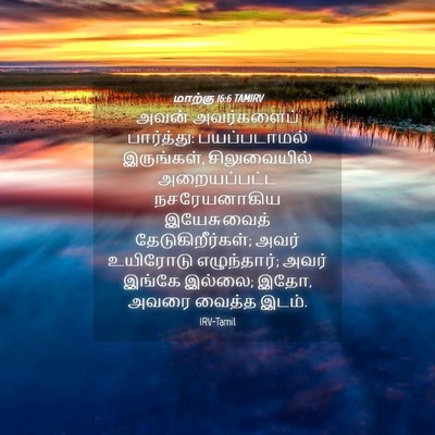 Picture 04 - மாற்கு 16:6 TAMIRV - அவன் அவர்களைப் - Bible Verse Picture