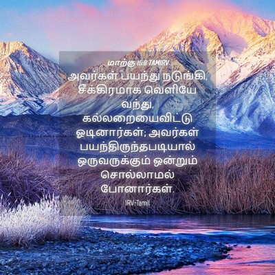 Picture 04 - மாற்கு 16:8 TAMIRV - அவர்கள் பயந்து - Bible Verse Picture