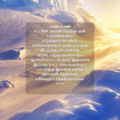 Picture 04 - மாற்கு 2:12 TAMIRV - உடனே, அவன் எழுந்து, - Bible Verse Picture