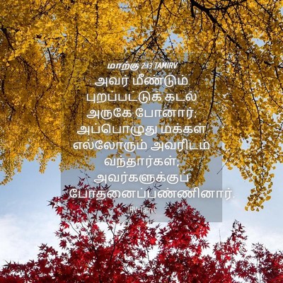 Picture 04 - மாற்கு 2:13 TAMIRV - அவர் மீண்டும் - Bible Verse Picture