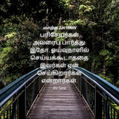 Picture 04 - மாற்கு 2:24 TAMIRV - பரிசேயர்கள் - Bible Verse Picture