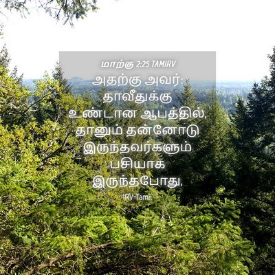 Picture 04 - மாற்கு 2:25 TAMIRV - அதற்கு அவர்: - Bible Verse Picture