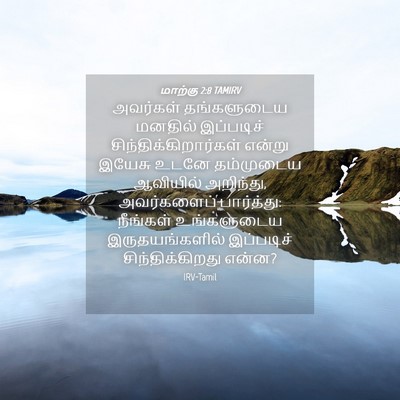 Picture 04 - மாற்கு 2:8 TAMIRV - அவர்கள் தங்களுடைய - Bible Verse Picture