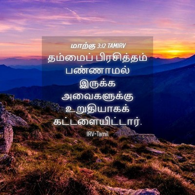 Picture 04 - மாற்கு 3:12 TAMIRV - தம்மைப் - Bible Verse Picture