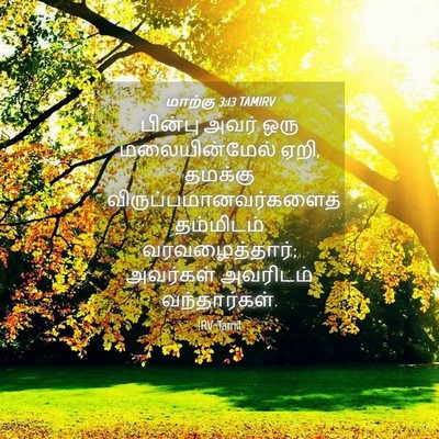 Picture 04 - மாற்கு 3:13 TAMIRV - பின்பு அவர் ஒரு - Bible Verse Picture
