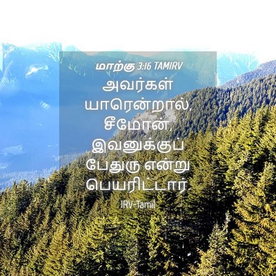 Picture 04 - மாற்கு 3:16 TAMIRV - அவர்கள் - Bible Verse Picture