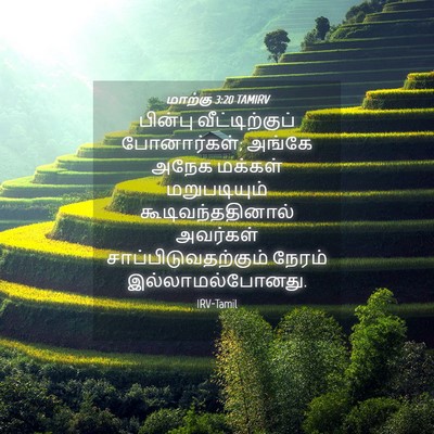Picture 04 - மாற்கு 3:20 TAMIRV - பின்பு - Bible Verse Picture