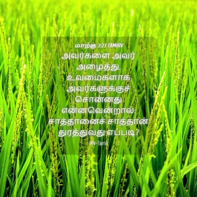 Picture 04 - மாற்கு 3:23 TAMIRV - அவர்களை அவர் - Bible Verse Picture