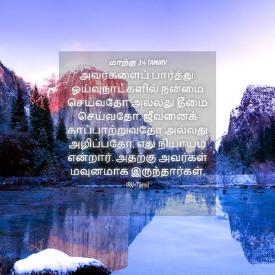 Picture 04 - மாற்கு 3:4 TAMIRV - அவர்களைப் - Bible Verse Picture