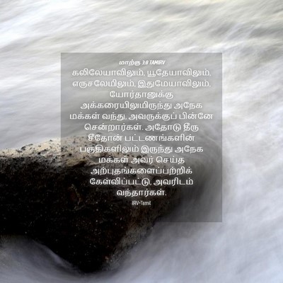 Picture 04 - மாற்கு 3:8 TAMIRV - கலிலேயாவிலும், - Bible Verse Picture