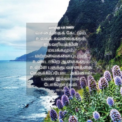 Picture 04 - மாற்கு 4:18 TAMIRV - வசனத்தைக் - Bible Verse Picture