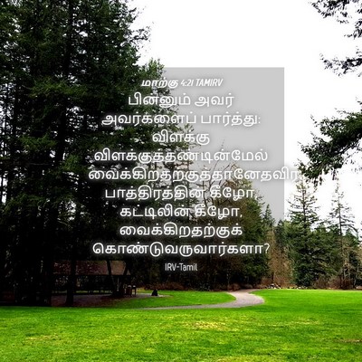 Picture 04 - மாற்கு 4:21 TAMIRV - பின்னும் அவர் - Bible Verse Picture