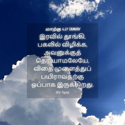 Picture 04 - மாற்கு 4:27 TAMIRV - இரவில் தூங்கி, - Bible Verse Picture