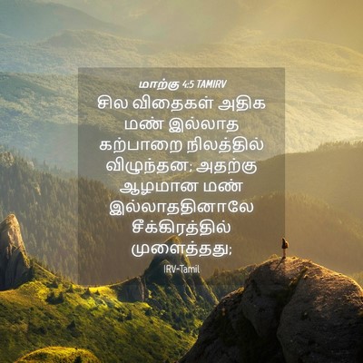 Picture 04 - மாற்கு 4:5 TAMIRV - சில விதைகள் அதிக - Bible Verse Picture