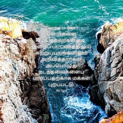 Picture 04 - மாற்கு 5:14 TAMIRV - பன்றிகளை - Bible Verse Picture