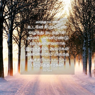 Picture 04 - மாற்கு 5:42 TAMIRV - உடனே சிறுபெண் - Bible Verse Picture