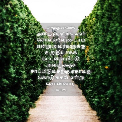 Picture 04 - மாற்கு 5:43 TAMIRV - அதை ஒருவருக்கும் - Bible Verse Picture