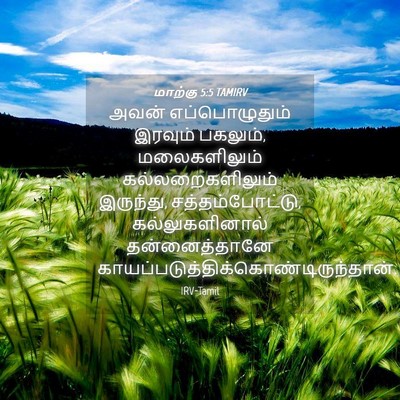 Picture 04 - மாற்கு 5:5 TAMIRV - அவன் எப்பொழுதும் - Bible Verse Picture