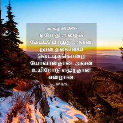 Picture 04 - மாற்கு 6:16 TAMIRV - ஏரோது அதைக் - Bible Verse Picture