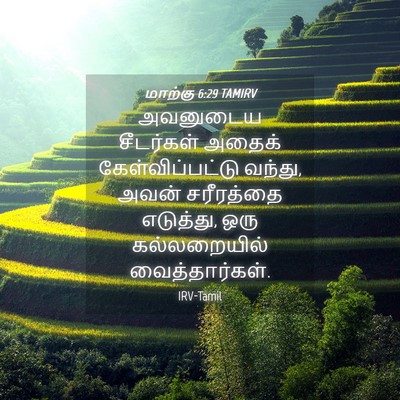 Picture 04 - மாற்கு 6:29 TAMIRV - அவனுடைய சீடர்கள் - Bible Verse Picture