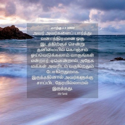 Picture 04 - மாற்கு 6:31 TAMIRV - அவர் அவர்களைப் - Bible Verse Picture