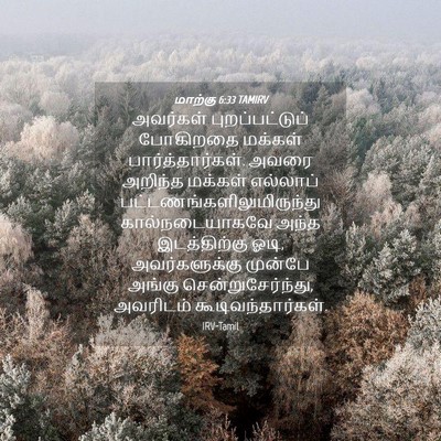 Picture 04 - மாற்கு 6:33 TAMIRV - அவர்கள் - Bible Verse Picture