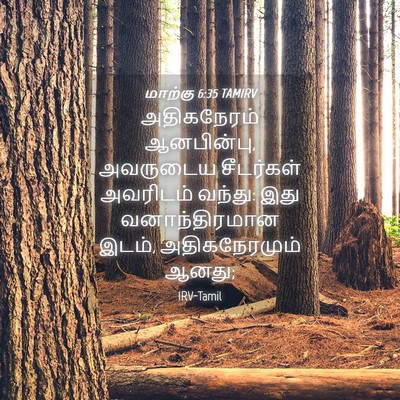 Picture 04 - மாற்கு 6:35 TAMIRV - அதிகநேரம் - Bible Verse Picture