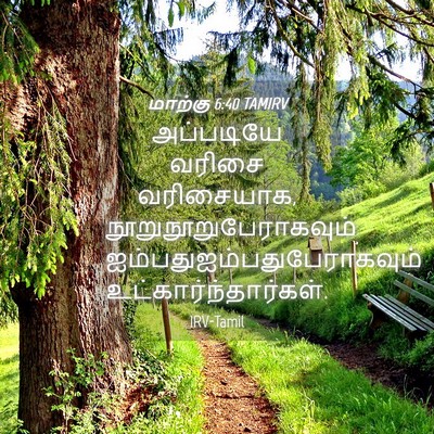 Picture 04 - மாற்கு 6:40 TAMIRV - அப்படியே வரிசை - Bible Verse Picture