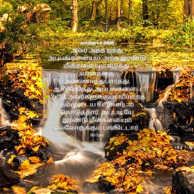 Picture 04 - மாற்கு 6:41 TAMIRV - அவர் அந்த ஐந்து - Bible Verse Picture