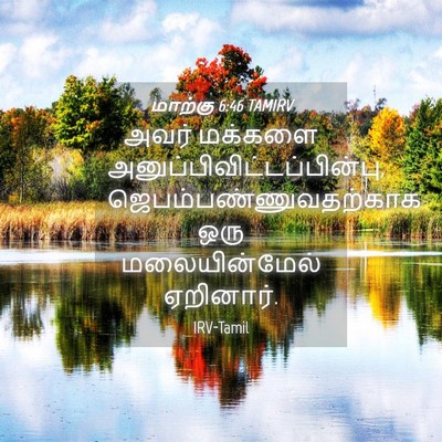 Picture 04 - மாற்கு 6:46 TAMIRV - அவர் மக்களை - Bible Verse Picture