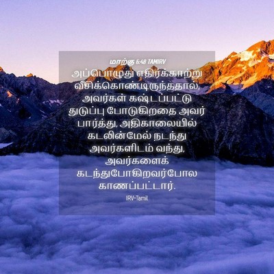 Picture 04 - மாற்கு 6:48 TAMIRV - அப்பொழுது - Bible Verse Picture