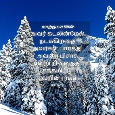 Picture 04 - மாற்கு 6:49 TAMIRV - அவர் கடலின்மேல் - Bible Verse Picture