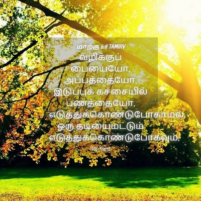 Picture 04 - மாற்கு 6:8 TAMIRV - வழிக்குப் பையையோ, - Bible Verse Picture