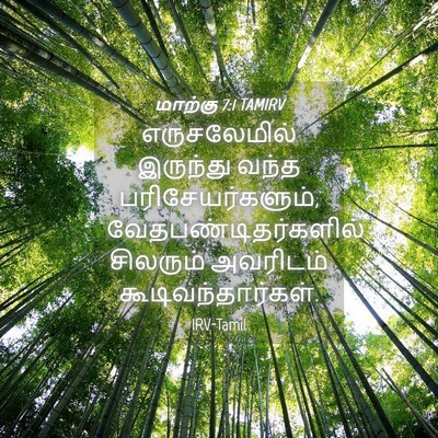 Picture 04 - மாற்கு 7:1 TAMIRV - எருசலேமில் - Bible Verse Picture
