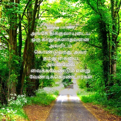 Picture 04 - மாற்கு 7:32 TAMIRV - அங்கே - Bible Verse Picture