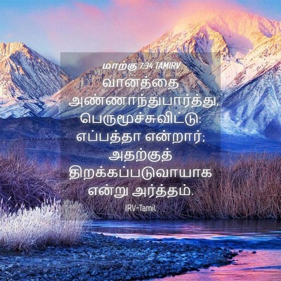 Picture 04 - மாற்கு 7:34 TAMIRV - வானத்தை - Bible Verse Picture
