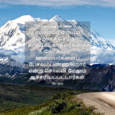Picture 04 - மாற்கு 7:37 TAMIRV - எல்லாவற்றையும் - Bible Verse Picture