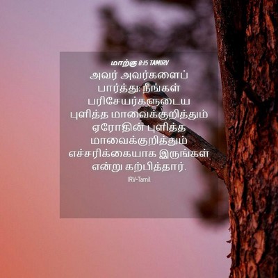 Picture 04 - மாற்கு 8:15 TAMIRV - அவர் அவர்களைப் - Bible Verse Picture