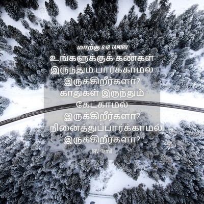 Picture 04 - மாற்கு 8:18 TAMIRV - உங்களுக்குக் - Bible Verse Picture