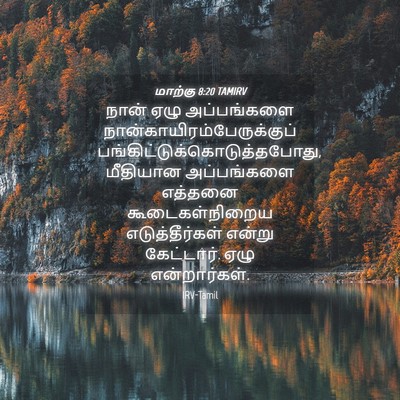 Picture 04 - மாற்கு 8:20 TAMIRV - நான் ஏழு - Bible Verse Picture