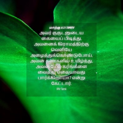 Picture 04 - மாற்கு 8:23 TAMIRV - அவர் குருடனுடைய - Bible Verse Picture