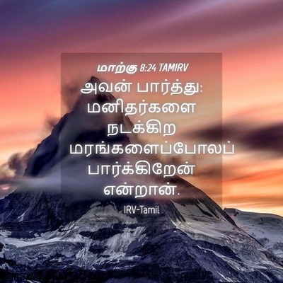 Picture 04 - மாற்கு 8:24 TAMIRV - அவன் பார்த்து: - Bible Verse Picture